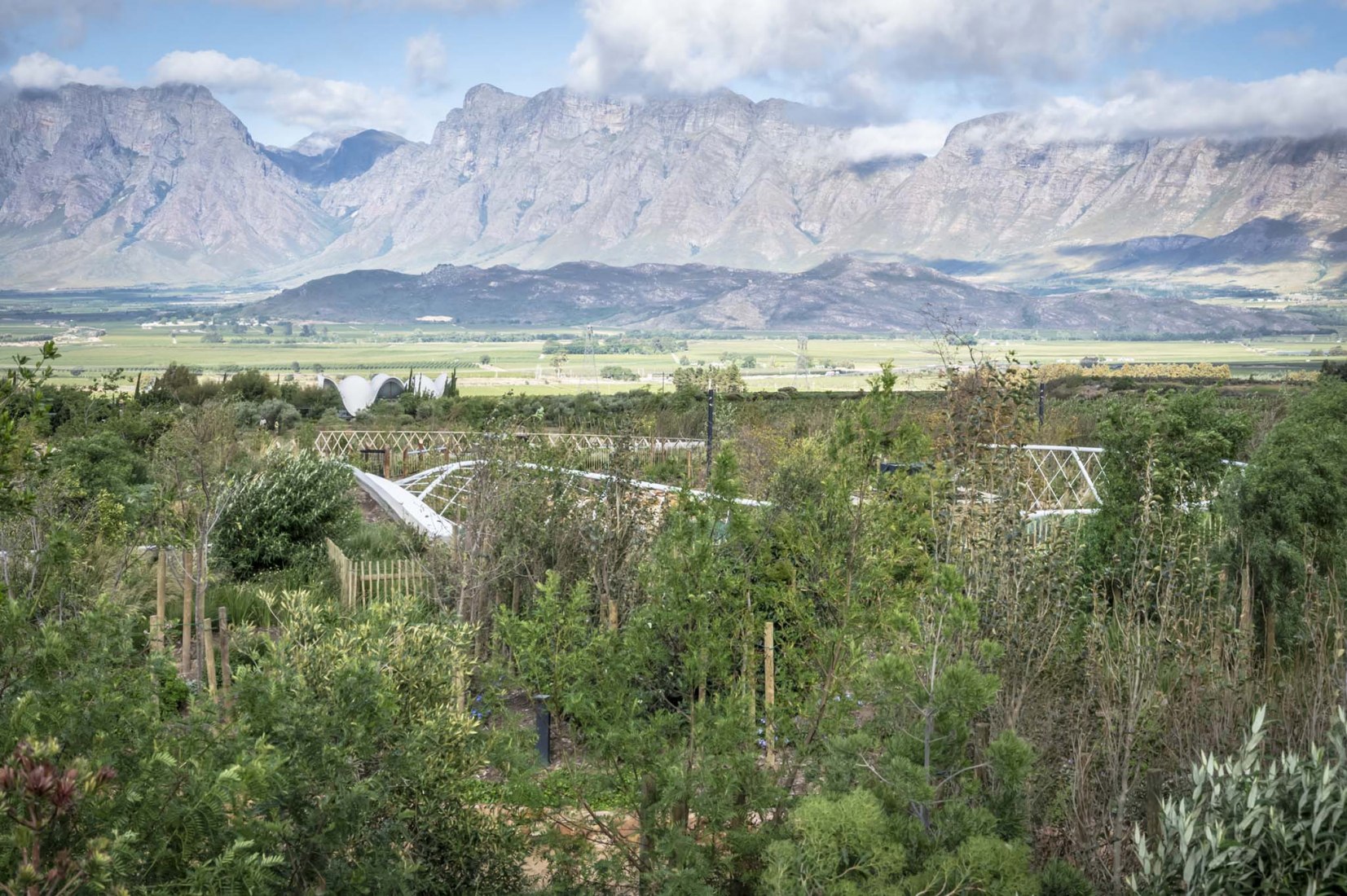 Garden Cafe by Steyn Studio, Meyer & Associates and Square One Landscape Architects. Photograph by Dave Southwood