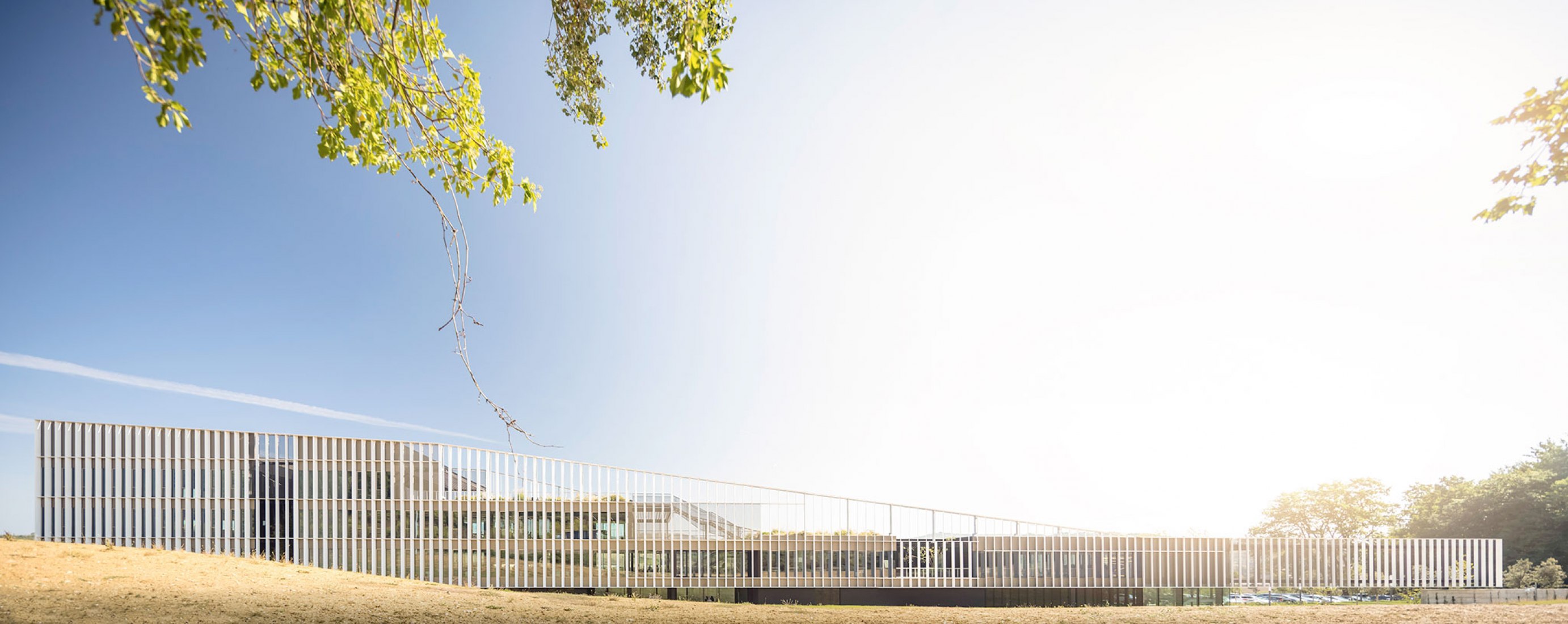 Sede de Furla por GEZA Architettura. Fotografía por Fernando Guerra.