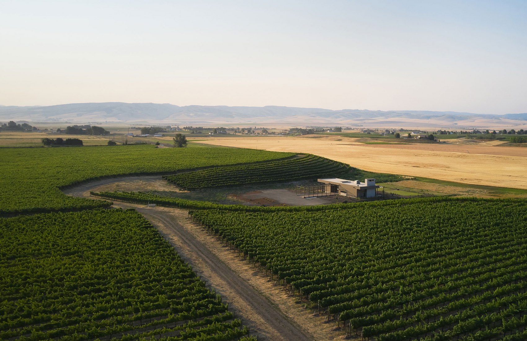 Alton Wines por GO'C. Fotografía por Kevin Scott.