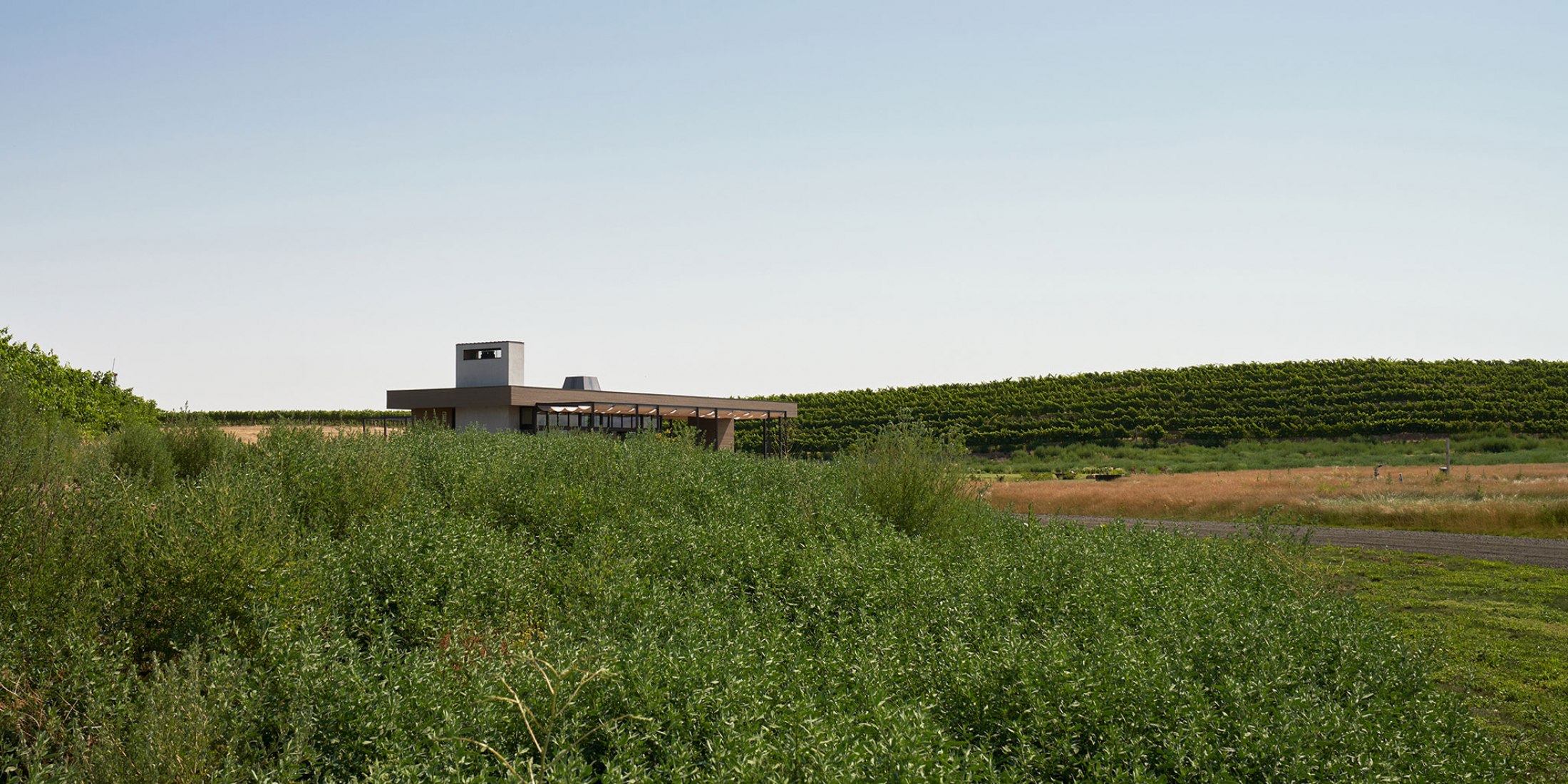 Alton Wines por GO'C. Fotografía por Kevin Scott.