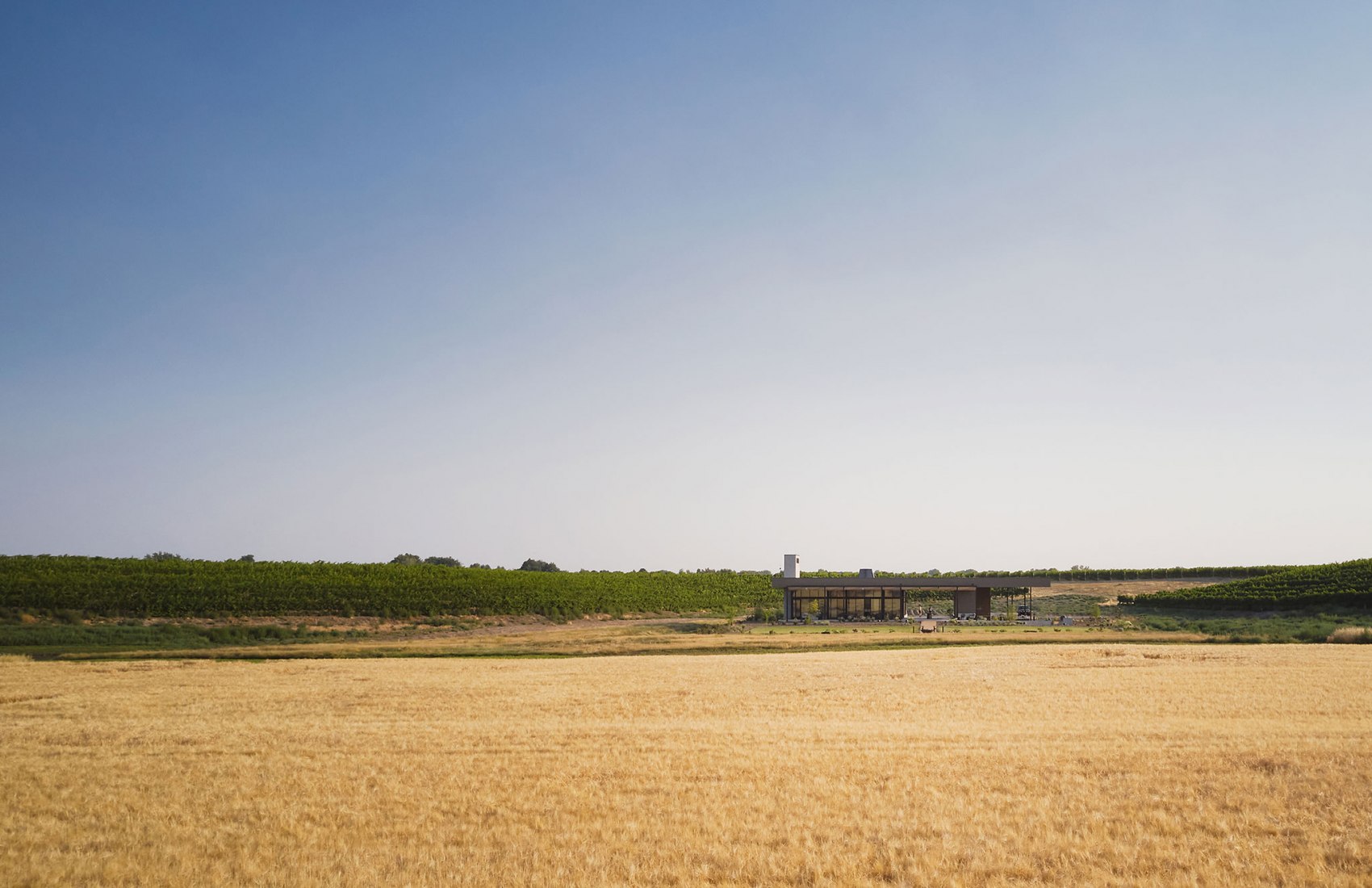 Alton Wines por GO'C. Fotografía por Kevin Scott.