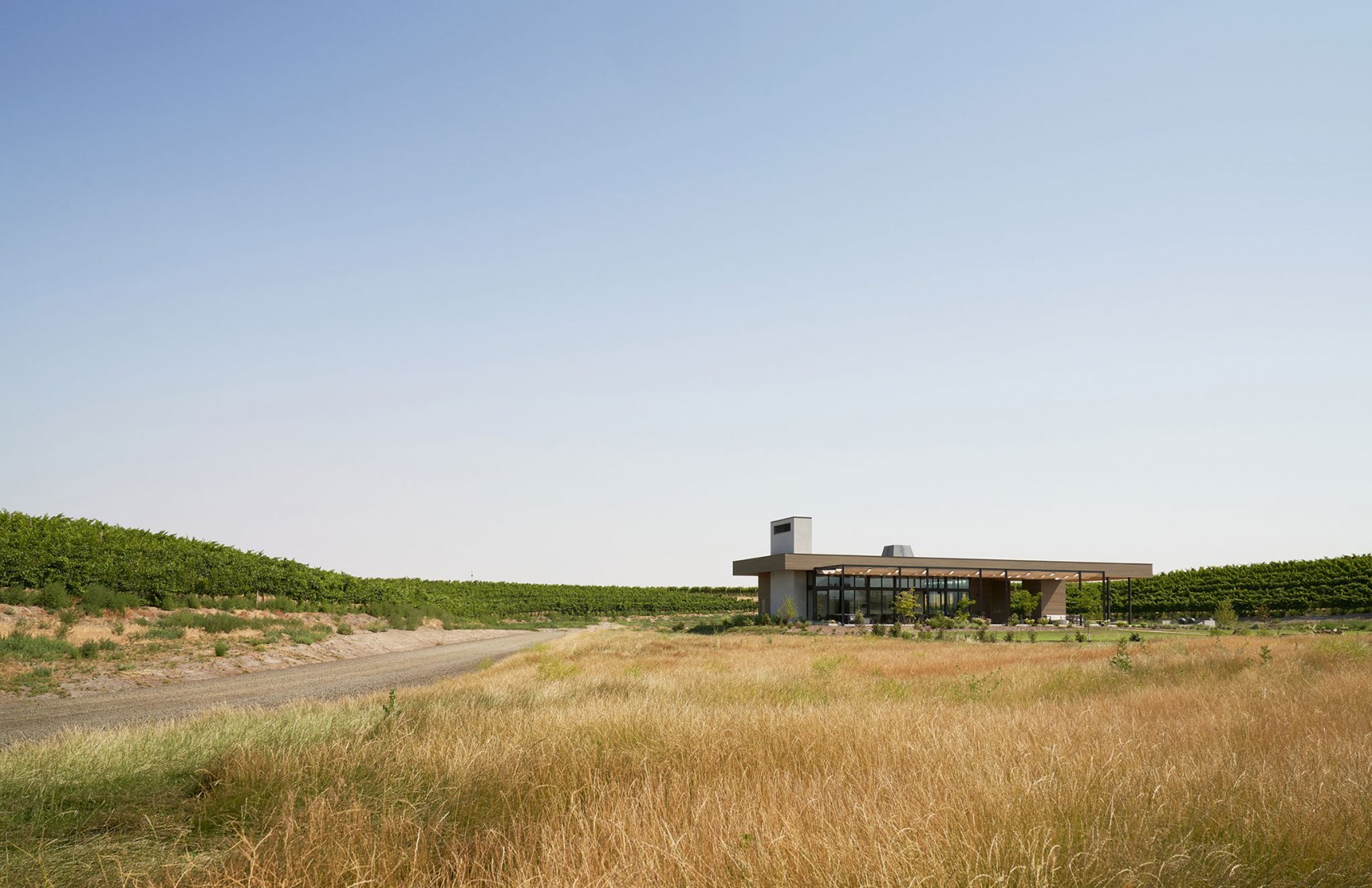 Alton Wines por GO'C. Fotografía por Kevin Scott.