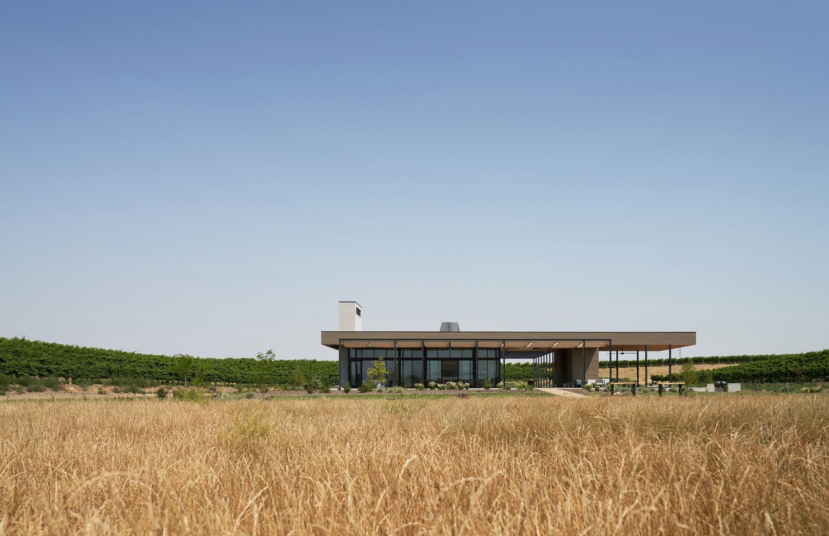 Alton Wines por GO'C. Fotografía por Kevin Scott.