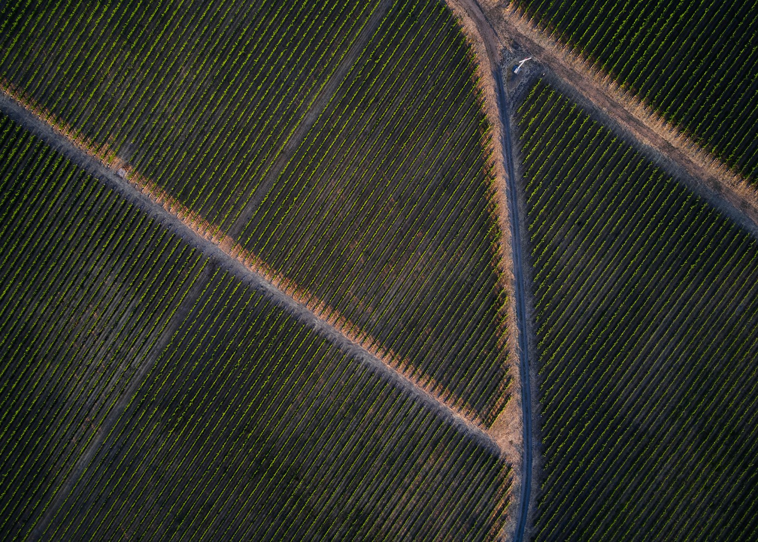 Alton Wines por GO'C. Fotografía por Kevin Scott.