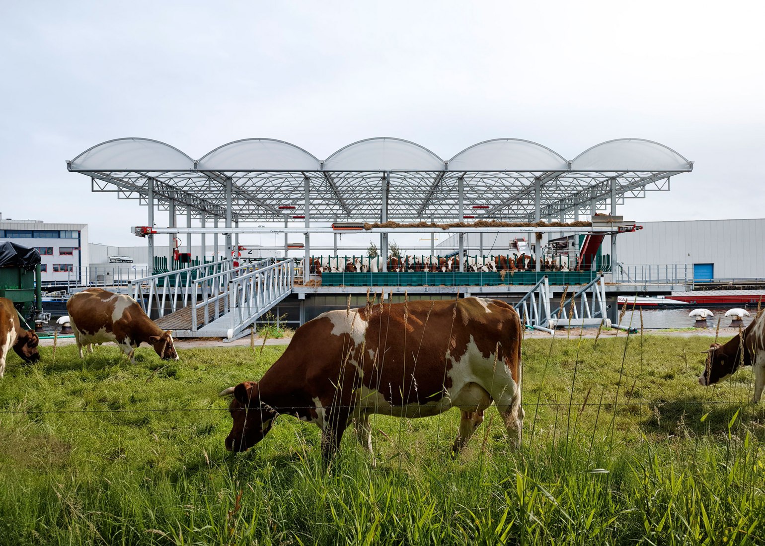 Floating Farm Dairy by Goldsmith Company. Photograph by Rubén Dario Kleimeer.