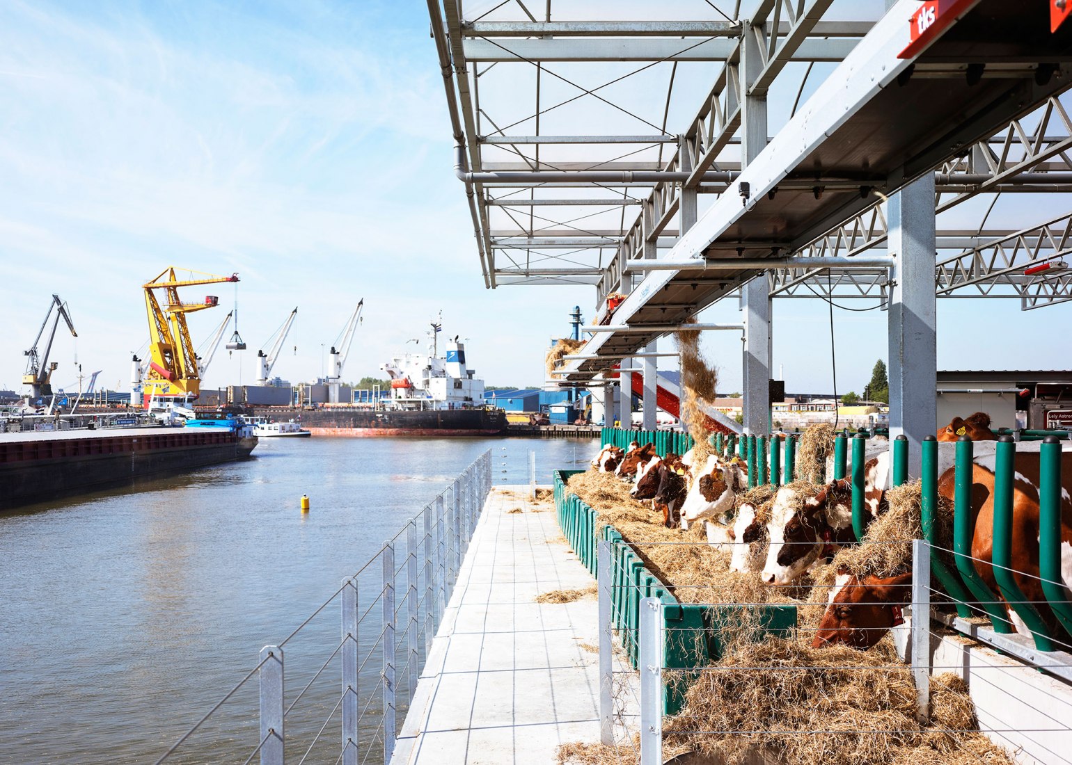 Floating Farm Dairy por Goldsmith Company. Fotografía por Rubén Dario Kleimeer.