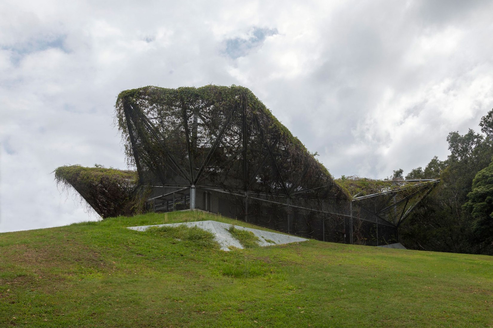 El pabellón de Australia en la Bienal de Venecia 2018, explora la relación de la arquitectura con las plantas en peligro de extinción. Fotografía de © Linda Tegg