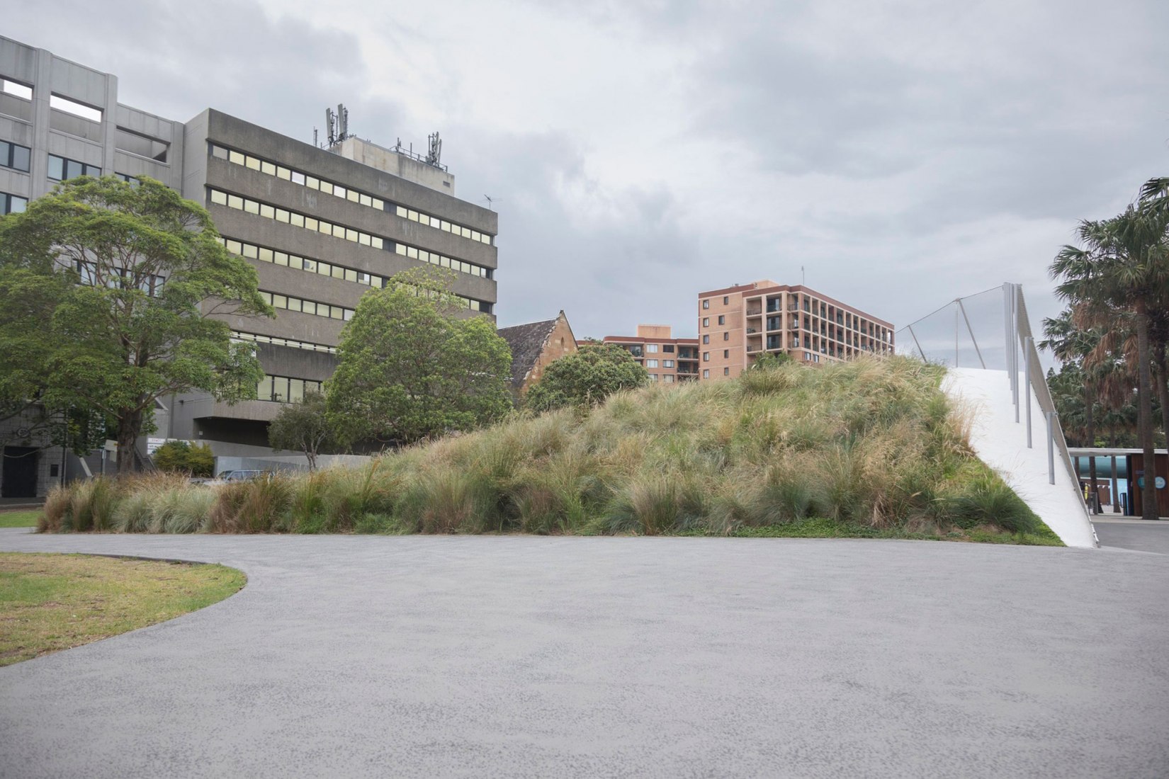 El pabellón de Australia en la Bienal de Venecia 2018, explora la relación de la arquitectura con las plantas en peligro de extinción. Fotografía de © Linda Tegg