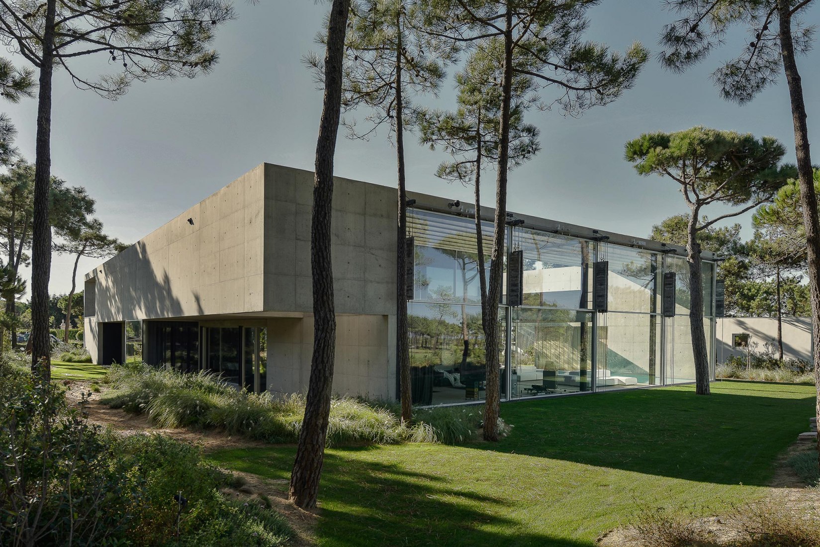 Pool Above Swimming Pool The Wall House By Guedes Cruz