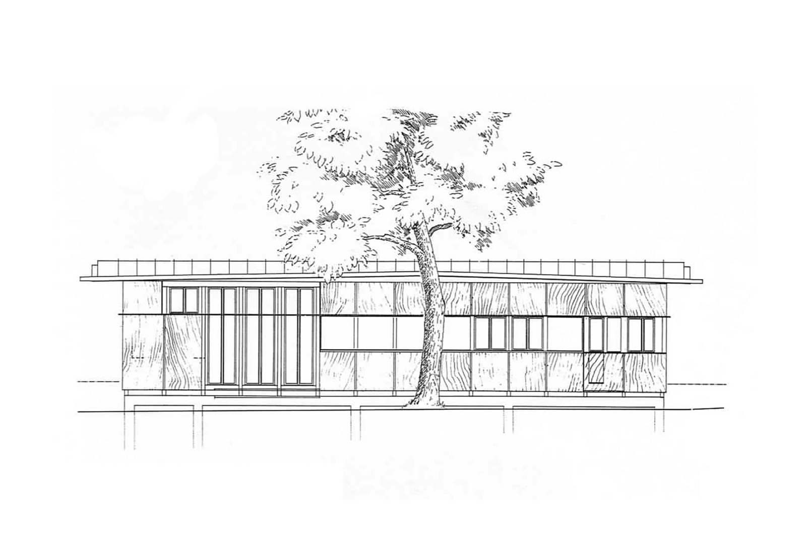 Alzado sur. Casa de madera contrachapada por Herzog & de Meuron.