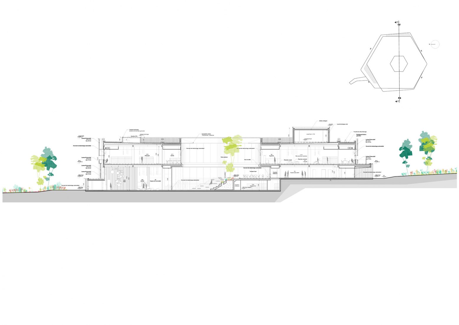 Section. Learning center Hexagone by Rémy Marciano.
