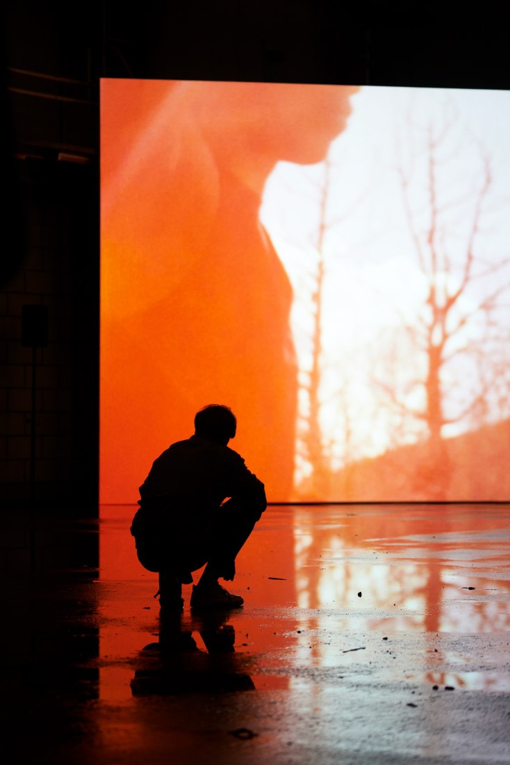 'Flying on the raven’s wing' by Horst. Curator, Evelyn Simons. Photography by Matthijs van der Burgt