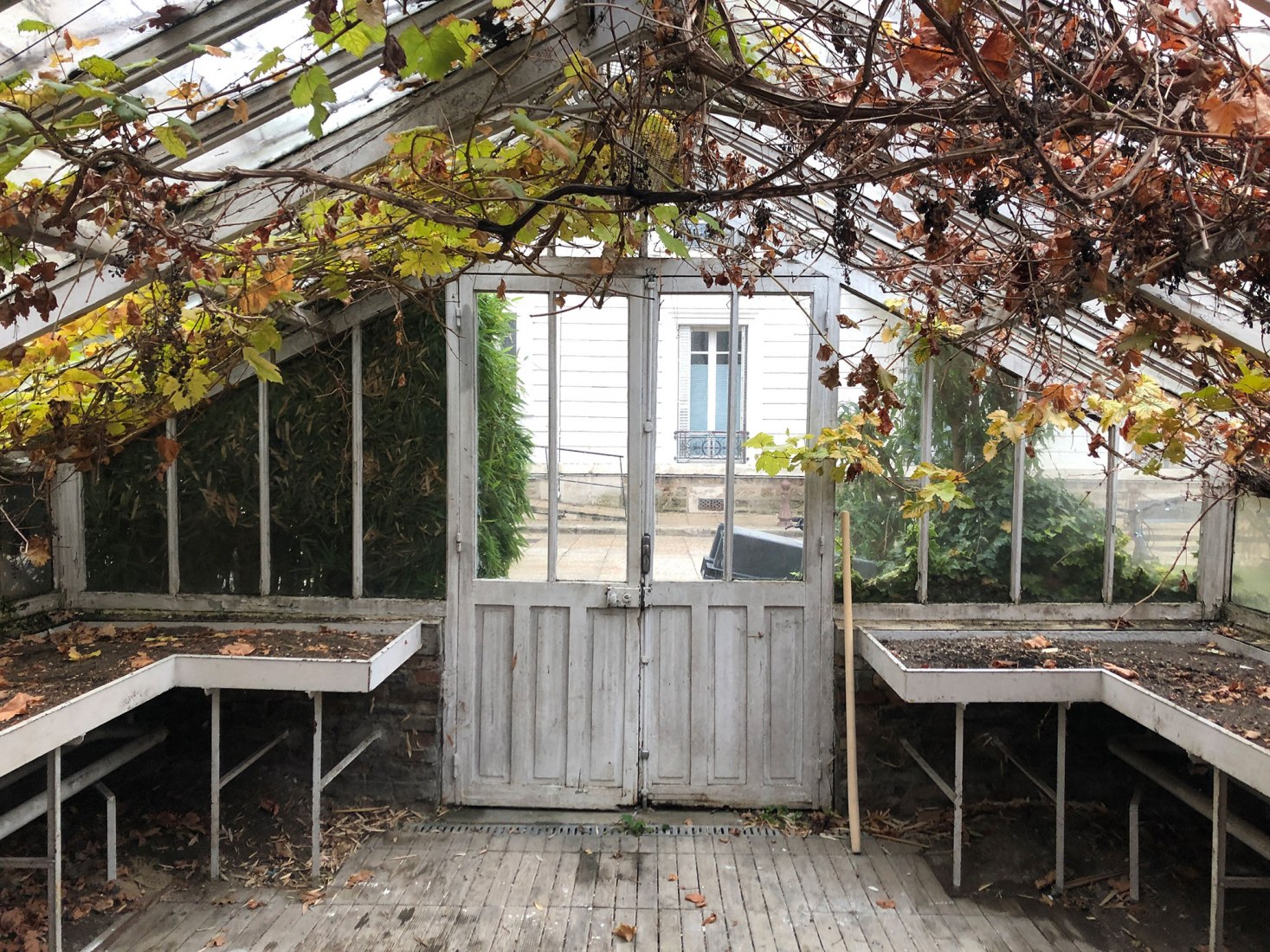 A greenhouse as a place of leisure. Hospitality room by FORME. Photography by Giaime Meloni.