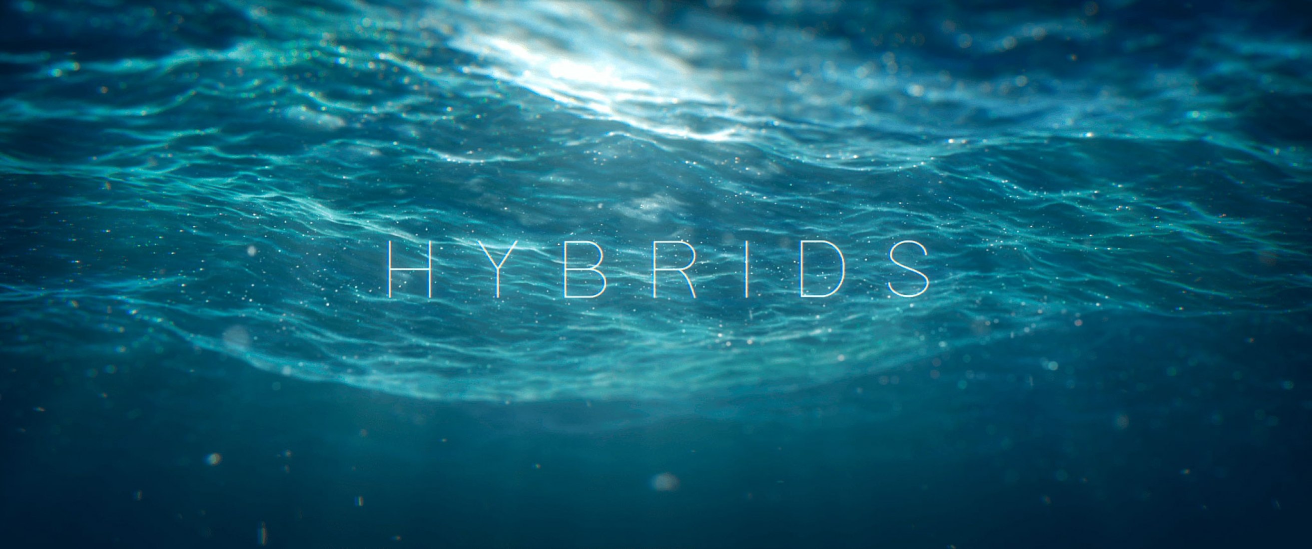 Hybrids Short Film by Florian Brauch, Matthieu Pujol, Kim Tailhades, Yohan Thireau, Romain Thirion