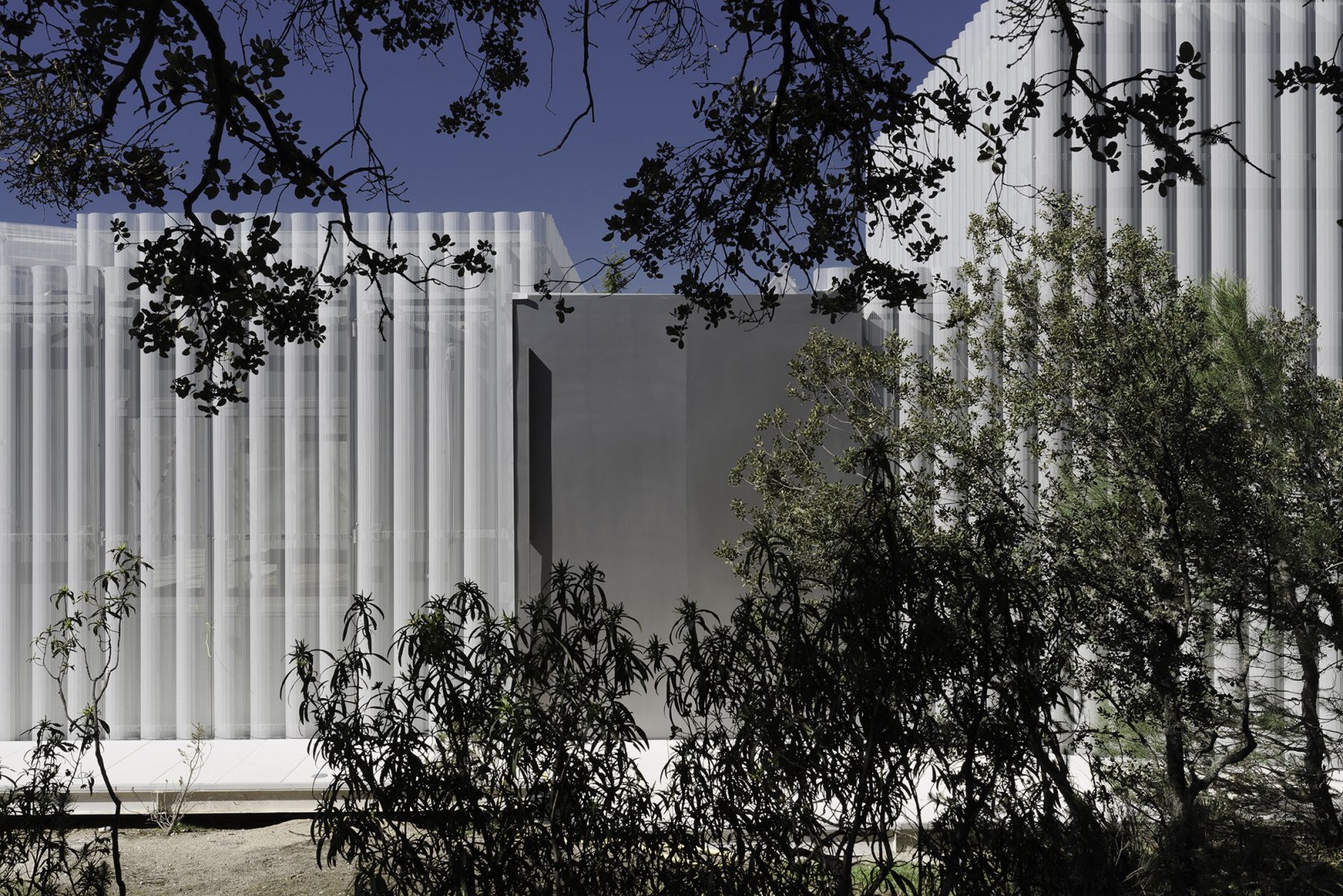 House and painting space for an artist by Idearch. Photograph by Joaquín Mosquera