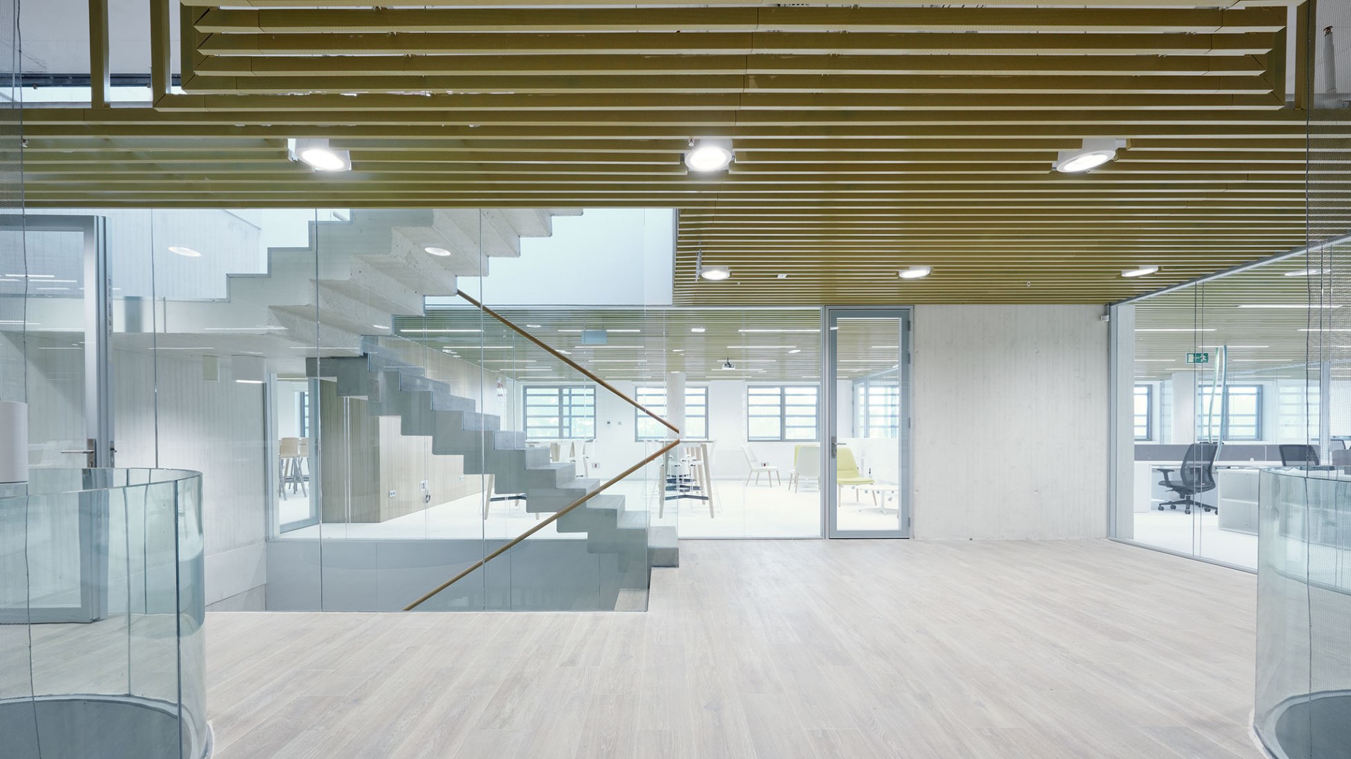 SAICA RDI Building by IDOM. Photograph by Iñaki Bergera.