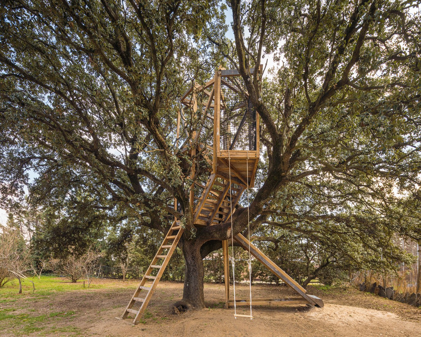 Tree house in an oak by Ignacio Borrego. Photograph by Imagen Subliminal.
