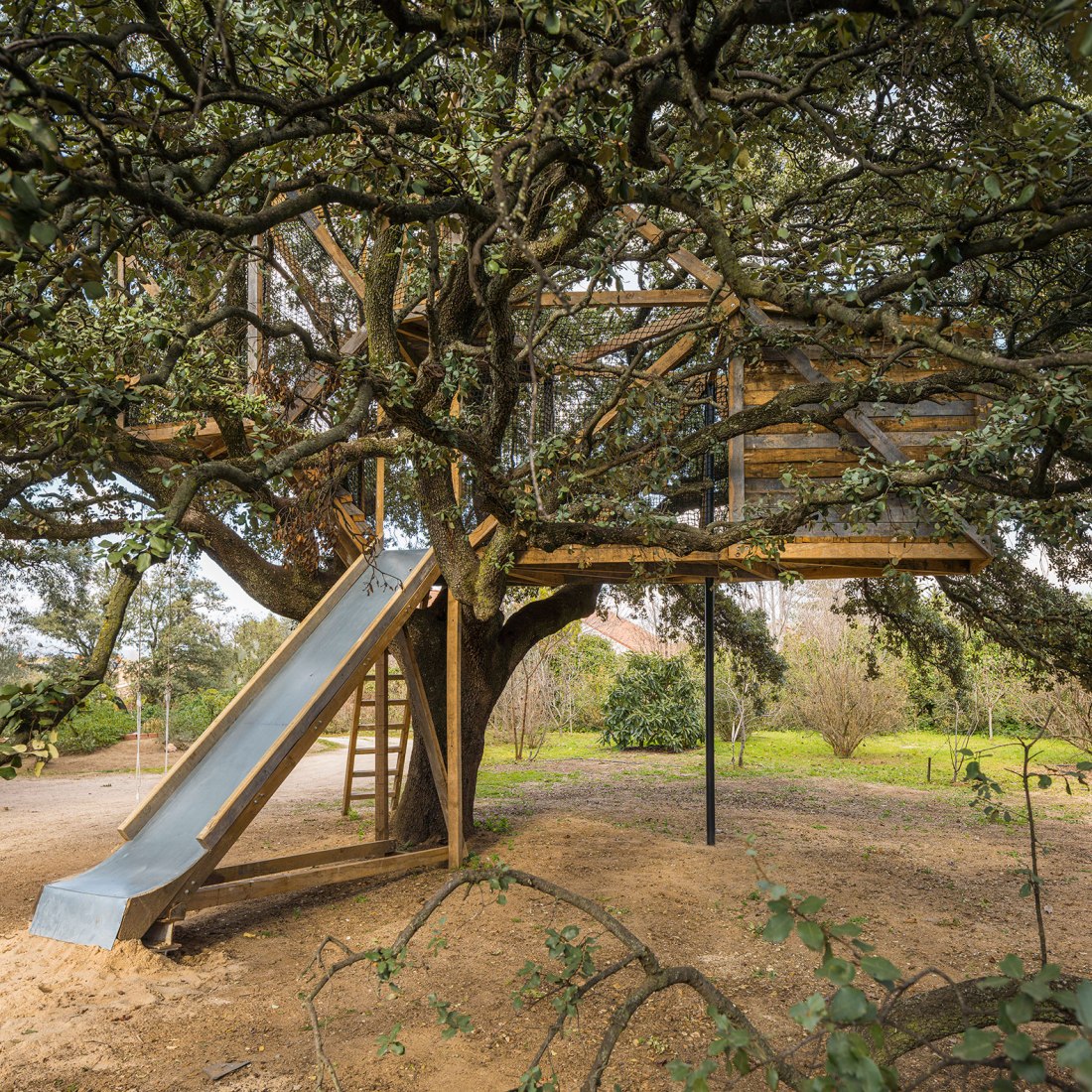 Tree house in an oak by Ignacio Borrego. Photograph by Imagen Subliminal.
