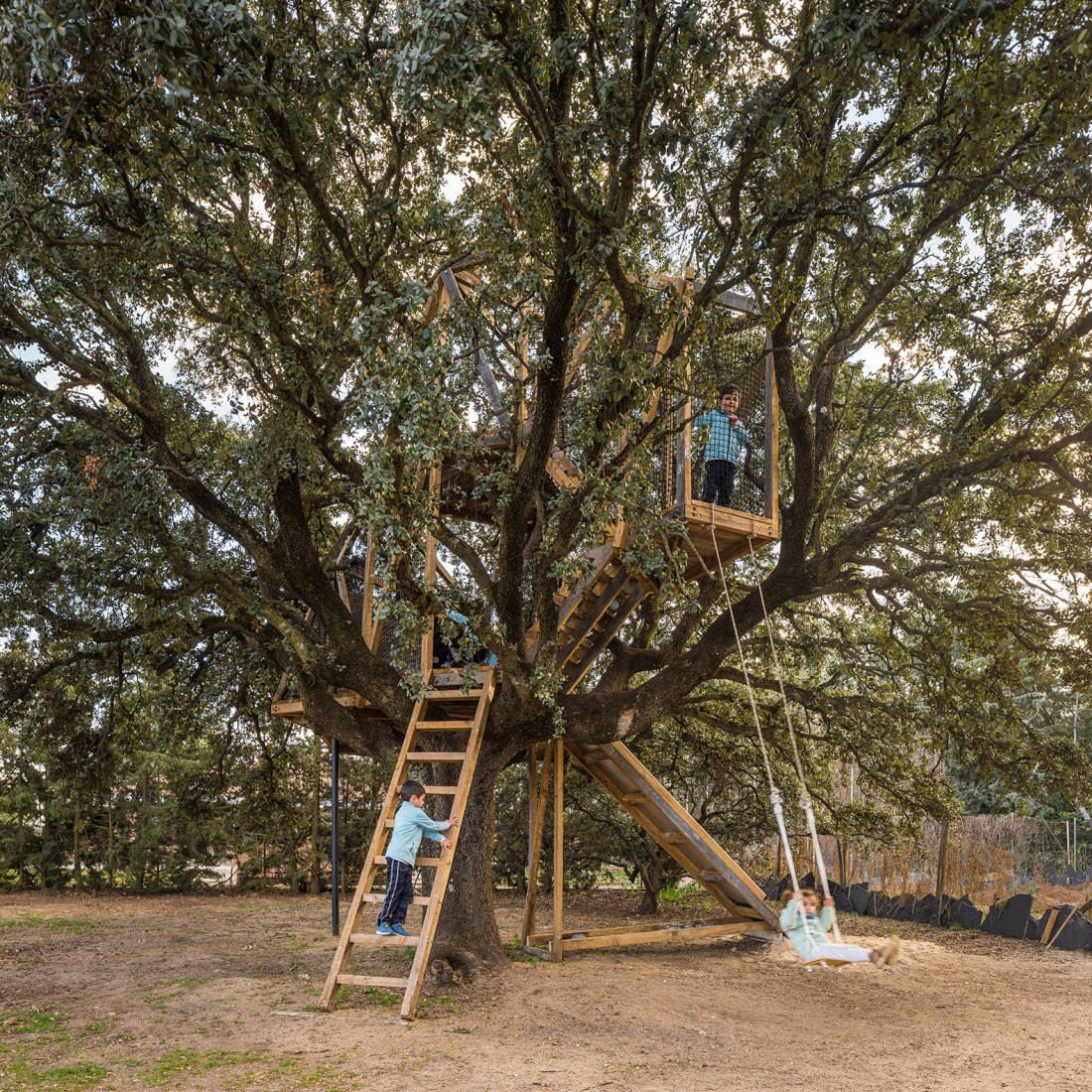 Tree house in an oak by Ignacio Borrego. Photograph by Imagen Subliminal.