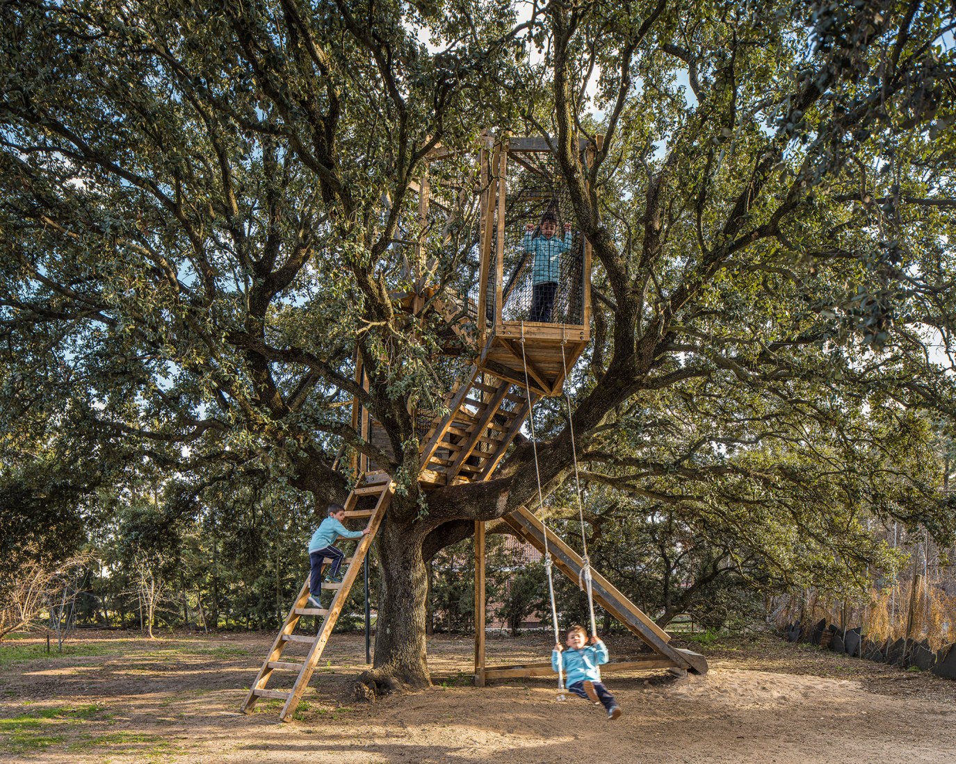 Tree house in an oak by Ignacio Borrego. Photograph by Imagen Subliminal.