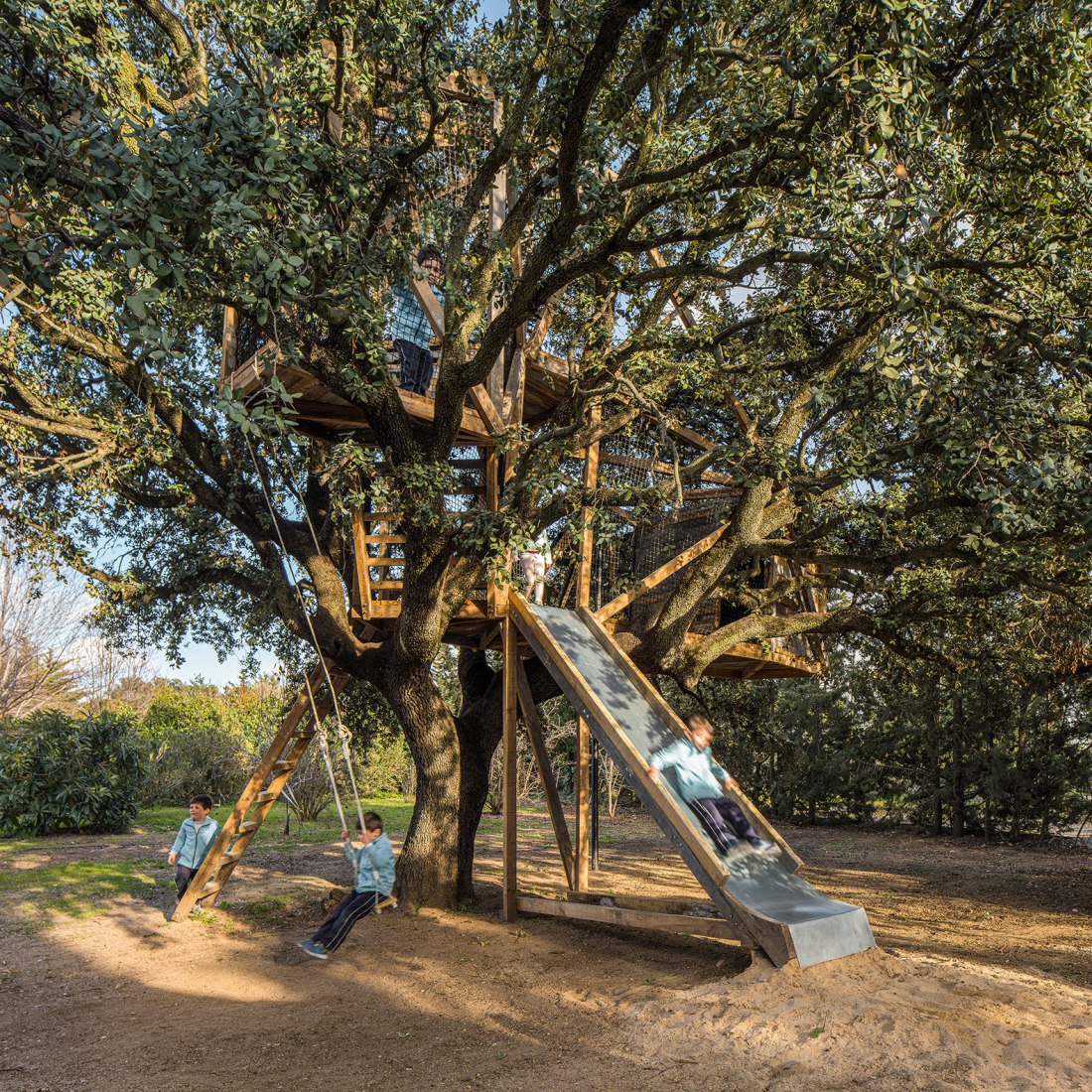 Tree house in an oak by Ignacio Borrego. Photograph by Imagen Subliminal.
