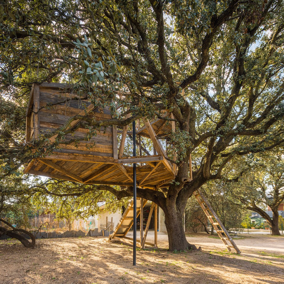 Tree house in an oak by Ignacio Borrego. Photograph by Imagen Subliminal.