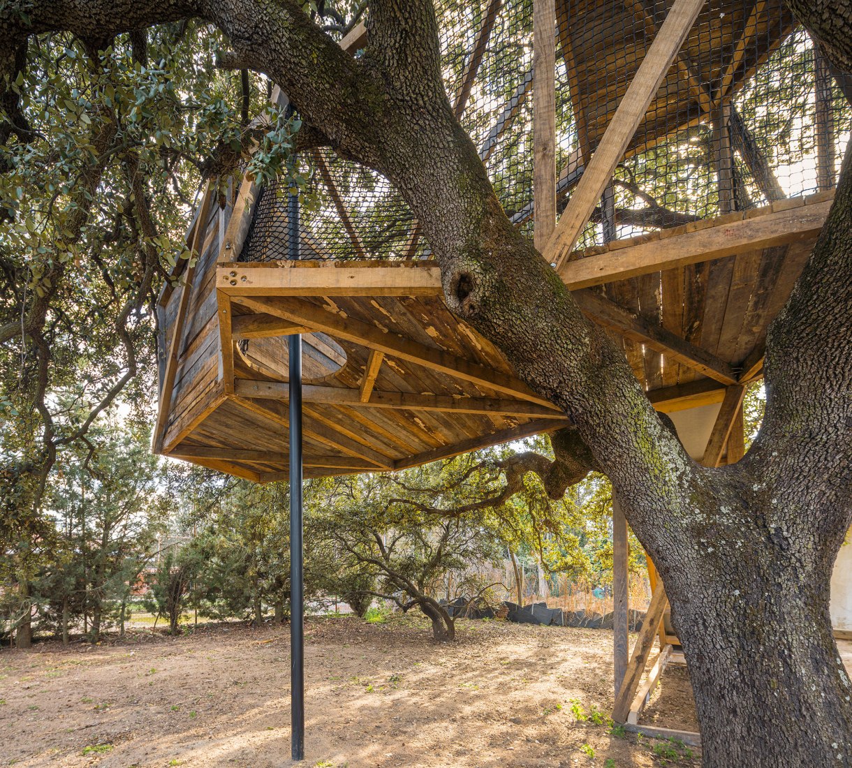 Tree house in an oak by Ignacio Borrego. Photograph by Imagen Subliminal.