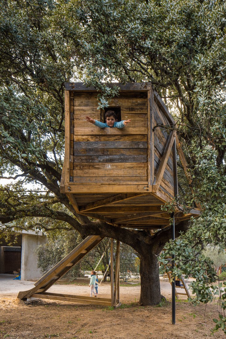 Tree house in an oak by Ignacio Borrego. Photograph by Imagen Subliminal.