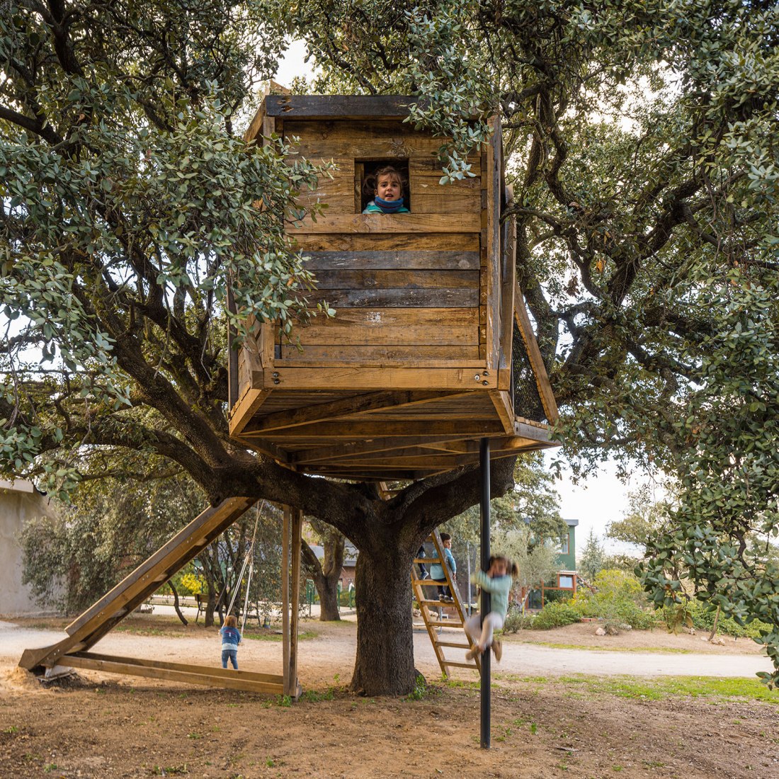 Tree house in an oak by Ignacio Borrego. Photograph by Imagen Subliminal.