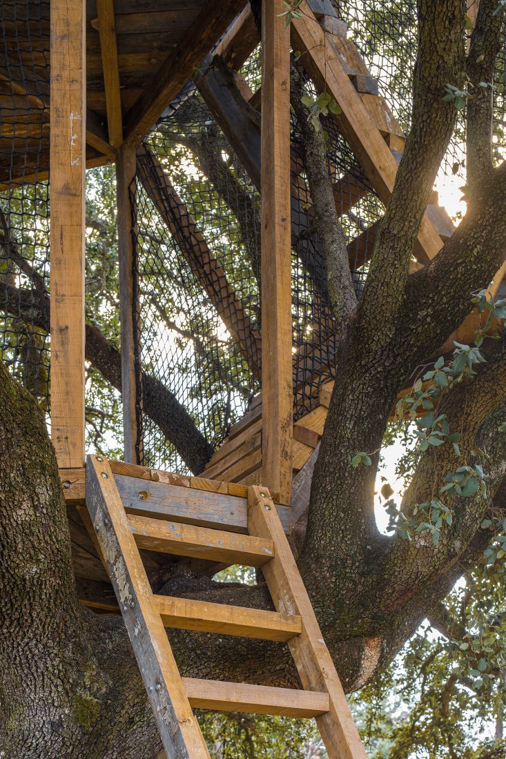Tree house in an oak by Ignacio Borrego. Photograph by Imagen Subliminal.