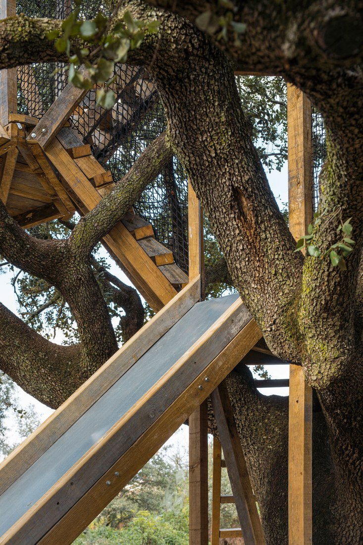 Tree house in an oak by Ignacio Borrego. Photograph by Imagen Subliminal.