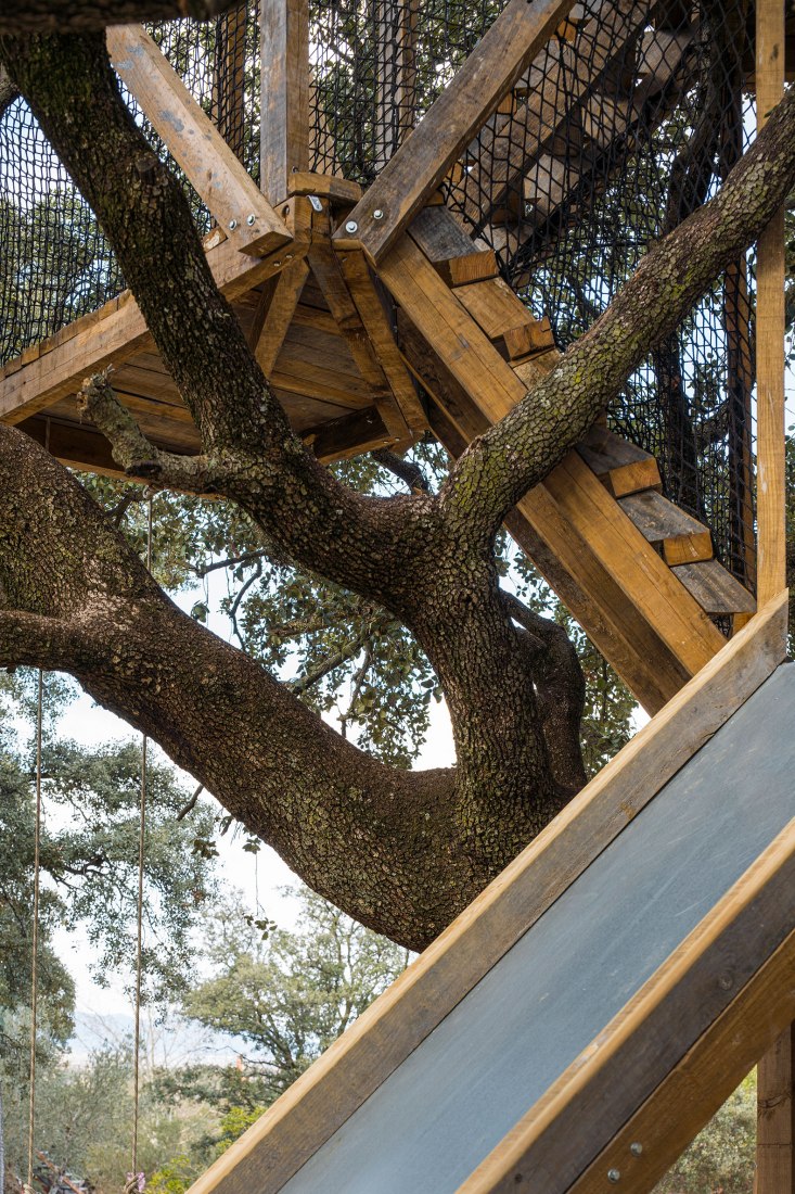 Tree house in an oak by Ignacio Borrego. Photograph by Imagen Subliminal.