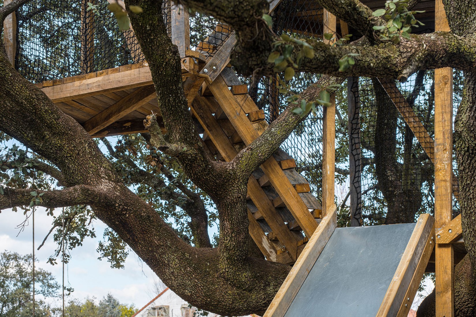 Tree house in an oak by Ignacio Borrego. Photograph by Imagen Subliminal.