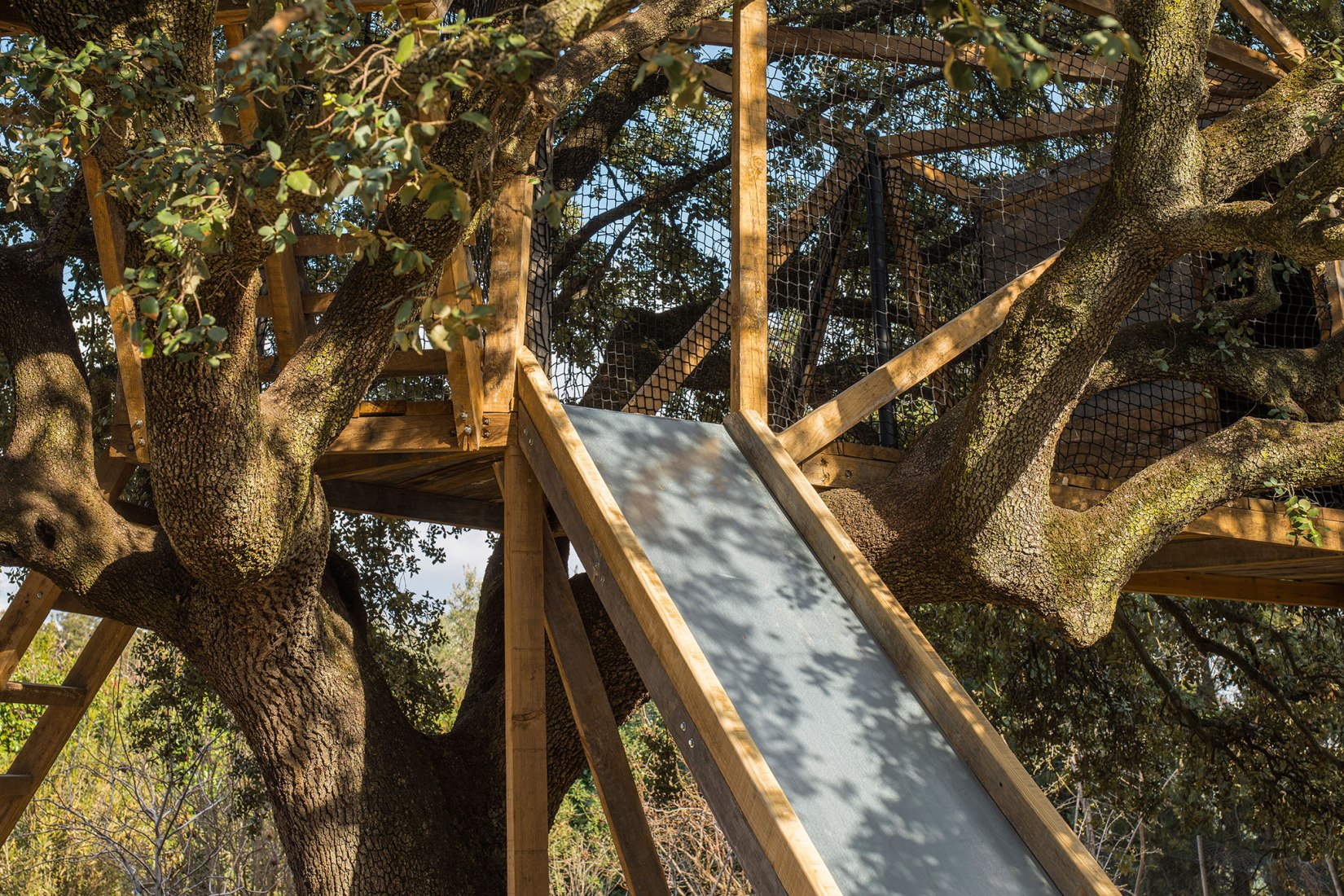 Tree house in an oak by Ignacio Borrego. Photograph by Imagen Subliminal.