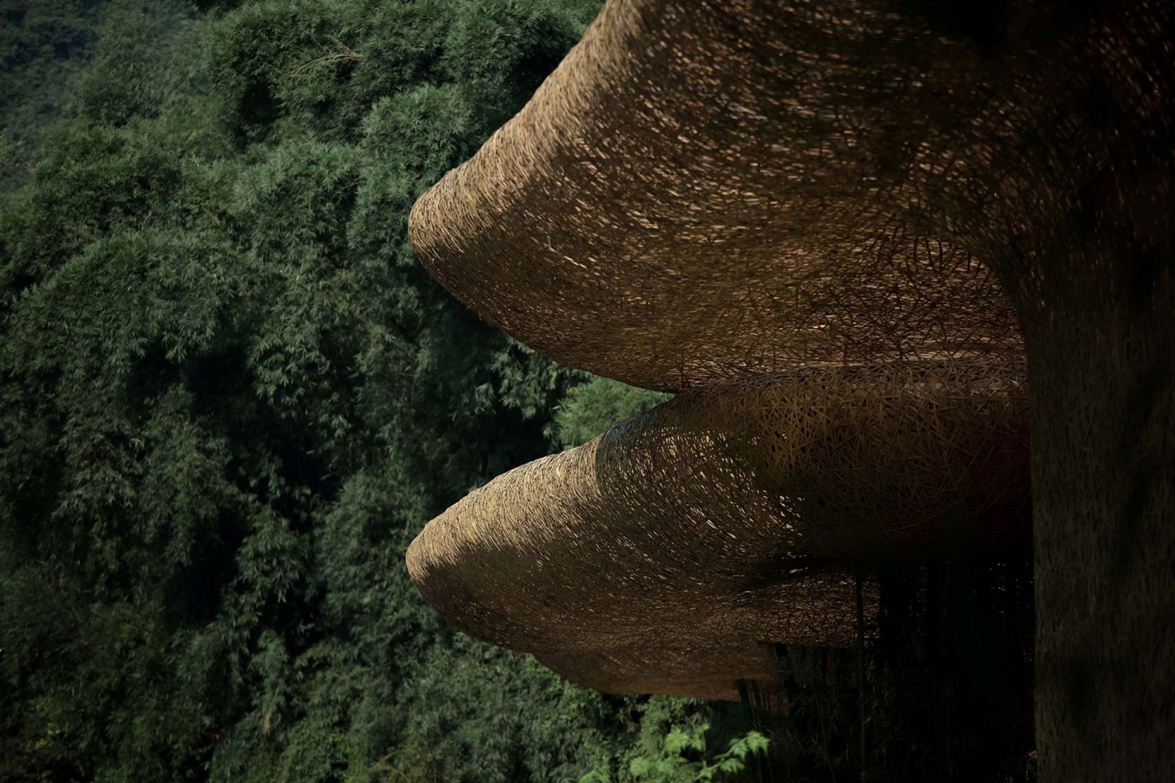 Bamboo Bamboo, marquesina y pabellones por llLab. Fotografía por Arch-Exist