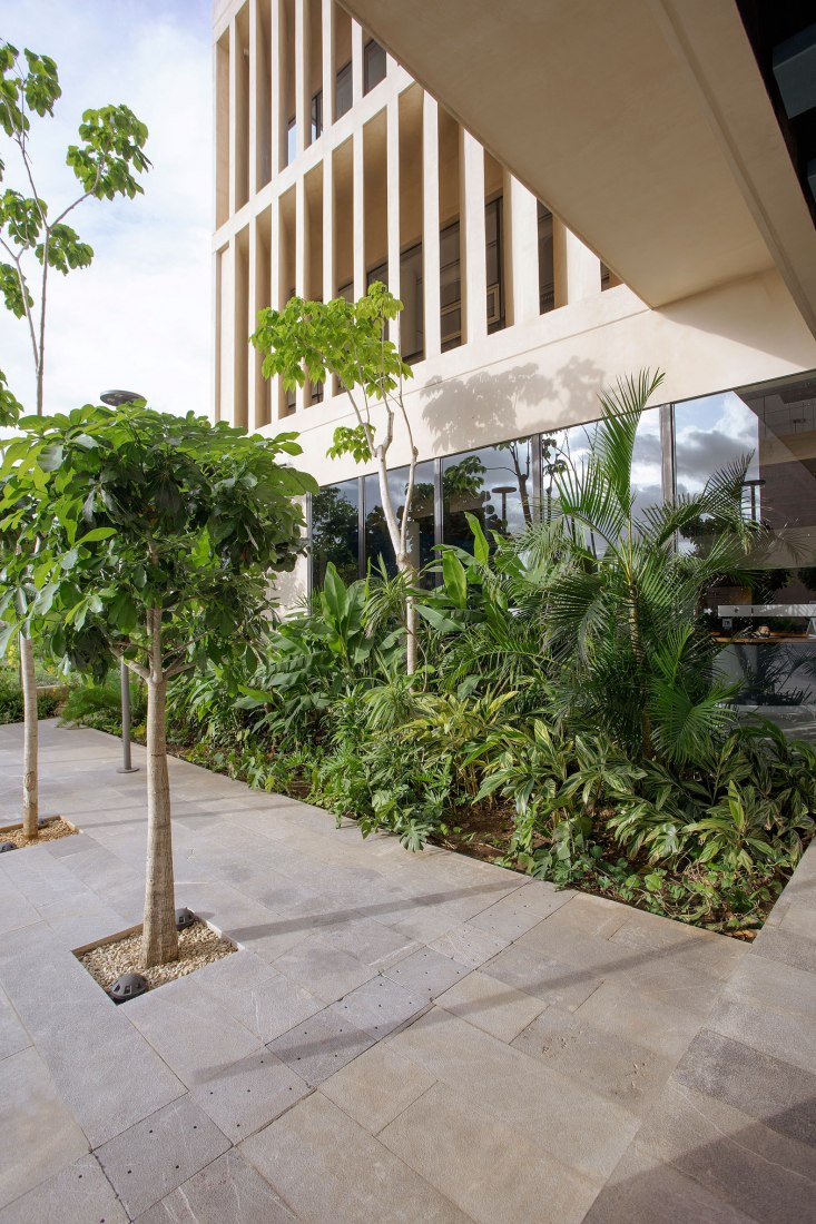 Escuela Bancaria y Comercial, EBC Campus Mérida por IUA Ignacio Urquiza Arquitectos. Fotografía por Estudio Urquiza (Ignacio Urquiza).