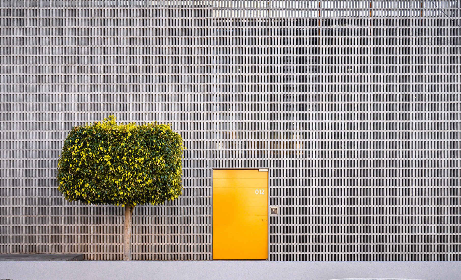 WOL Center por Iván Marín + Doho Constructivo. Fotografía por José Carlos Macouzet