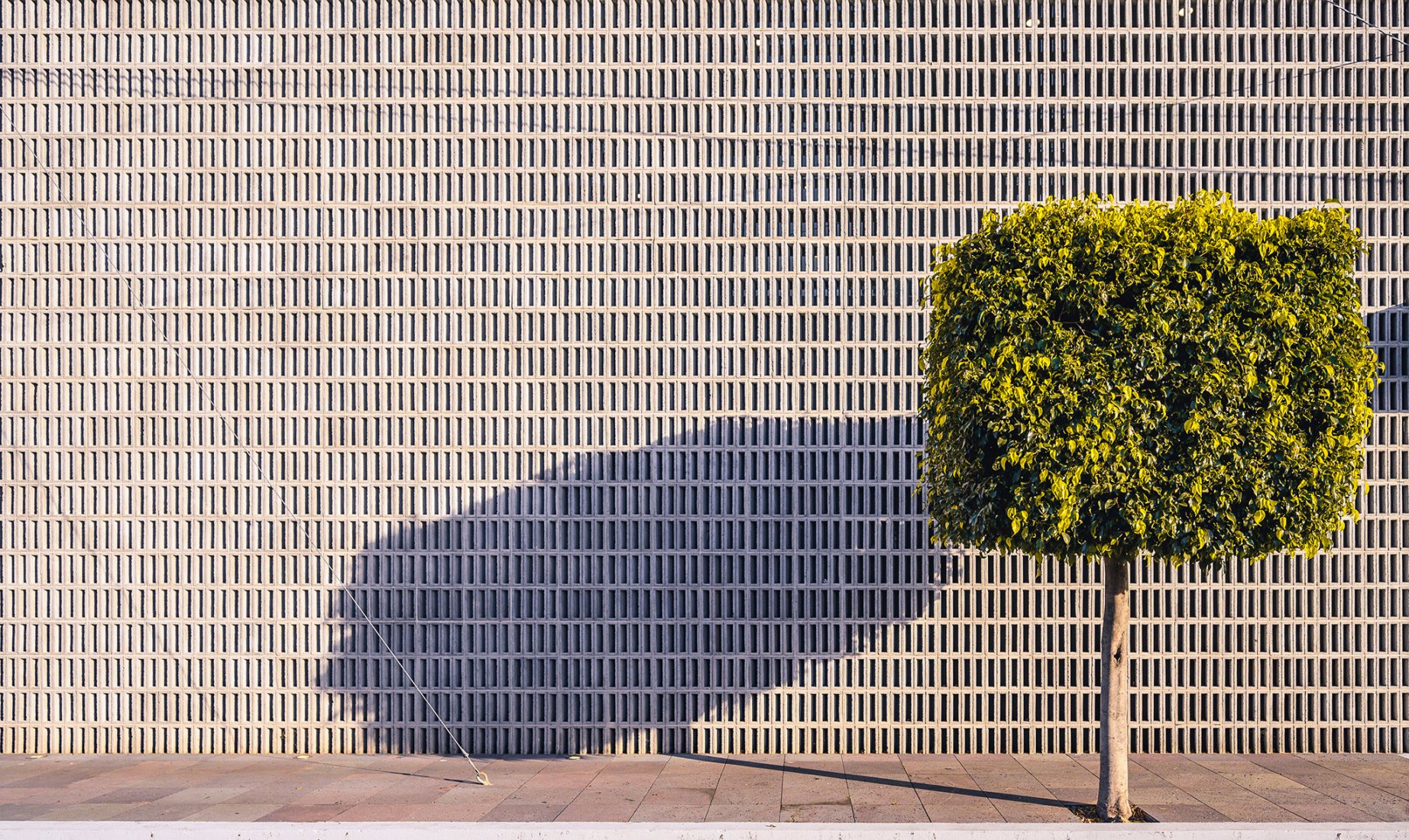WOL Center por Iván Marín + Doho Constructivo. Fotografía por José Carlos Macouzet