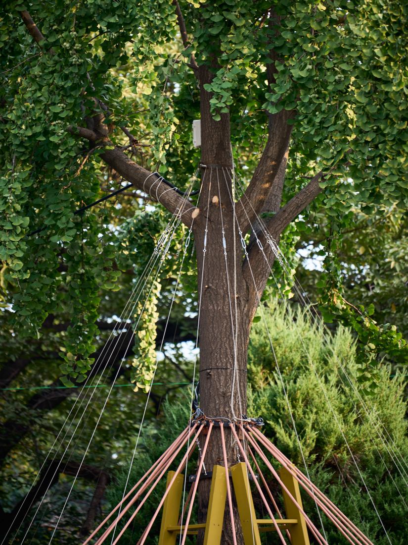 BOJAGI LOUNGE por Izaskun Chinchilla Architects. Fotografía por DongWoong Lee.