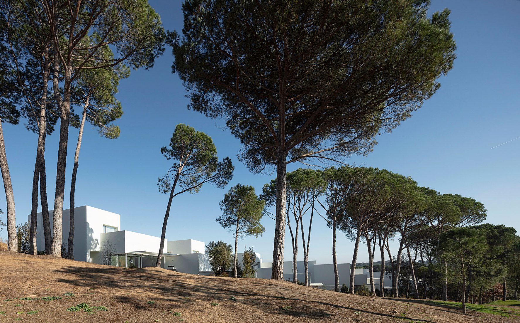 Cubic shapes on the ground. L’ALZINA by Jaime Prous Architects | The ...