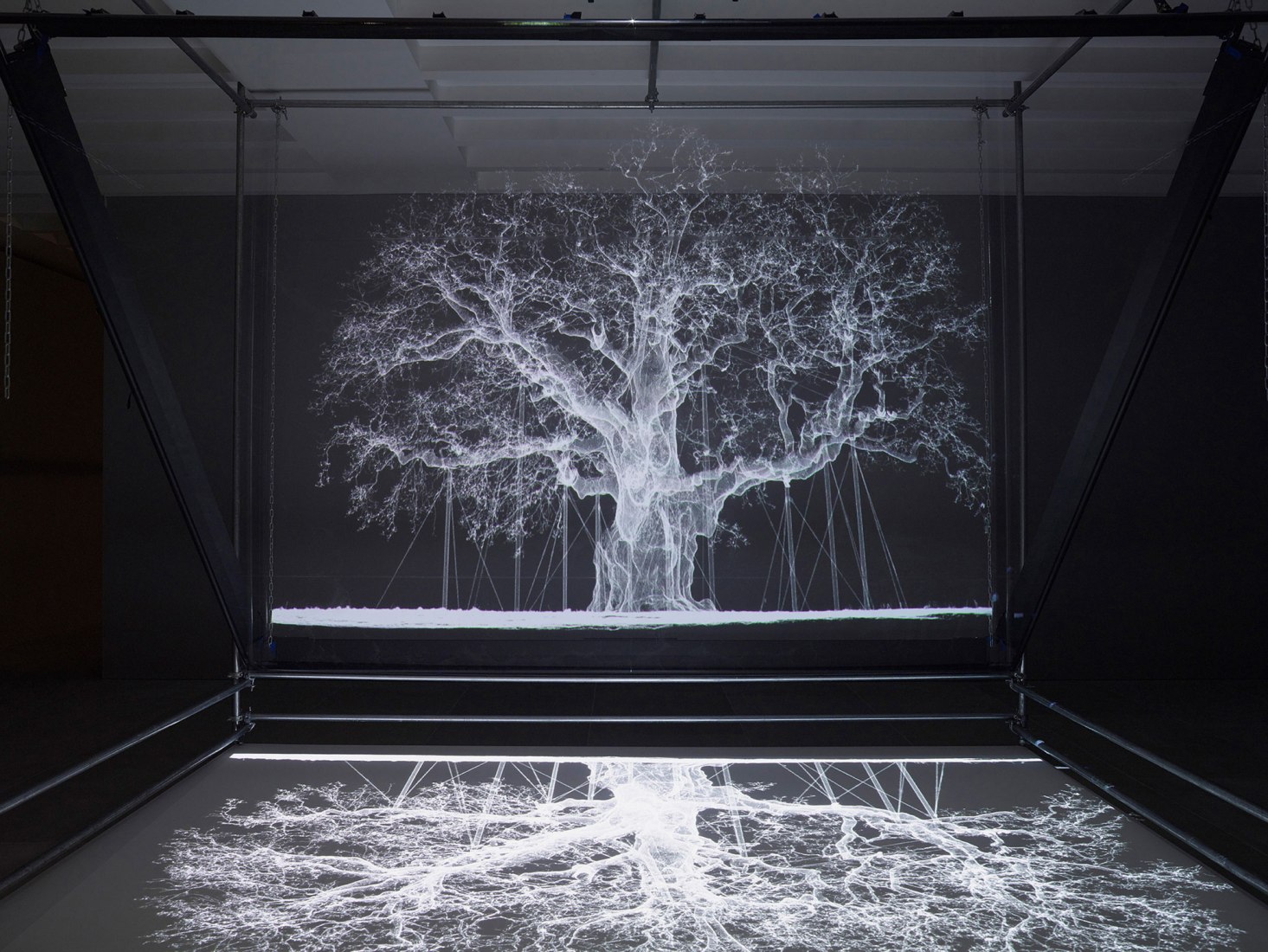 Albion by Mat Collishaw, 2017. Projector, media player, scaffolding rig, transparent mirror, film, wood, mirror, 427 x 518 x 425 cm. Image courtesy of the artist   and Blain Southern.