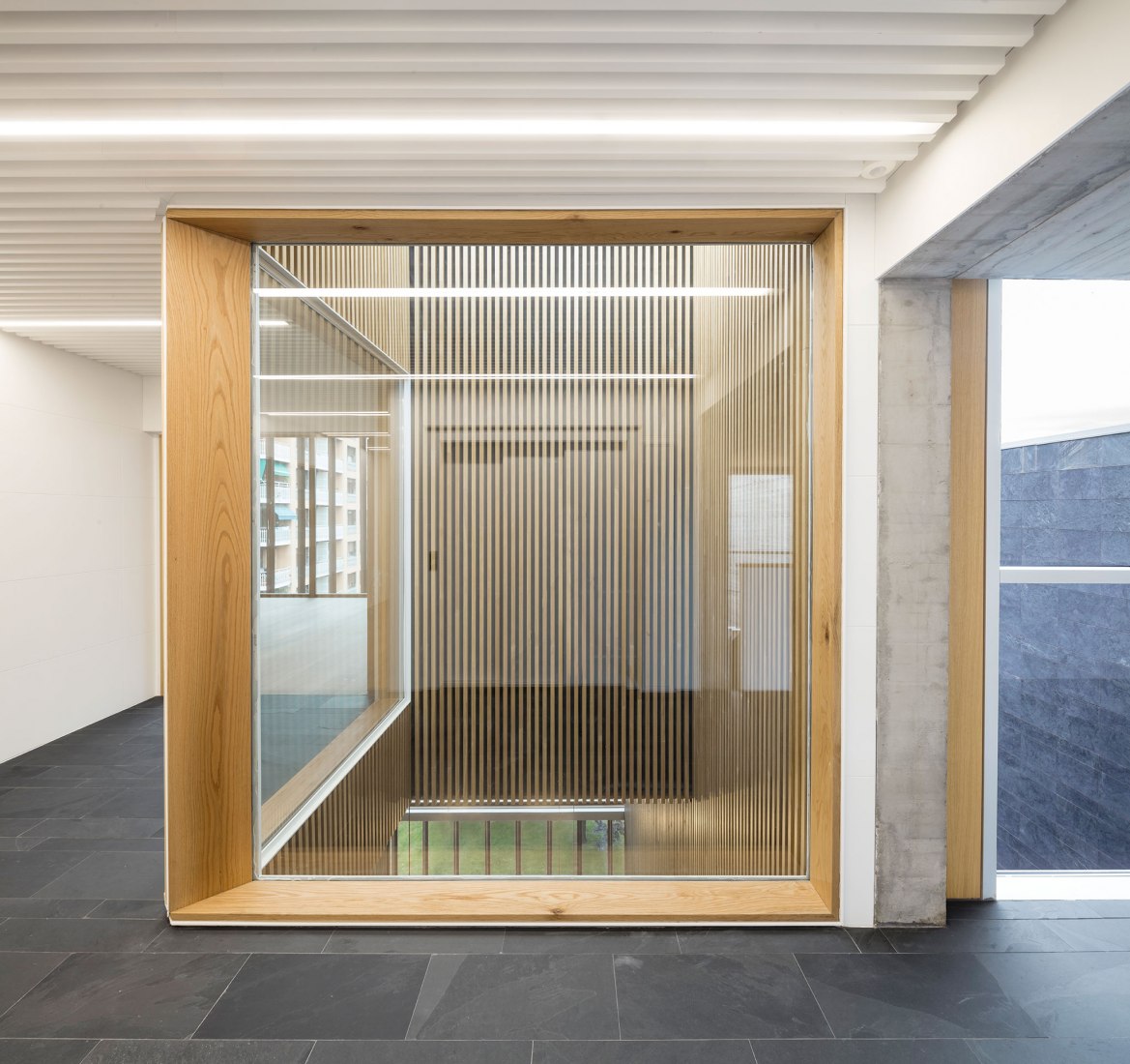 New Zubiaur Music School by Javier de las Heras Solé. Photograph by Adrià Goula