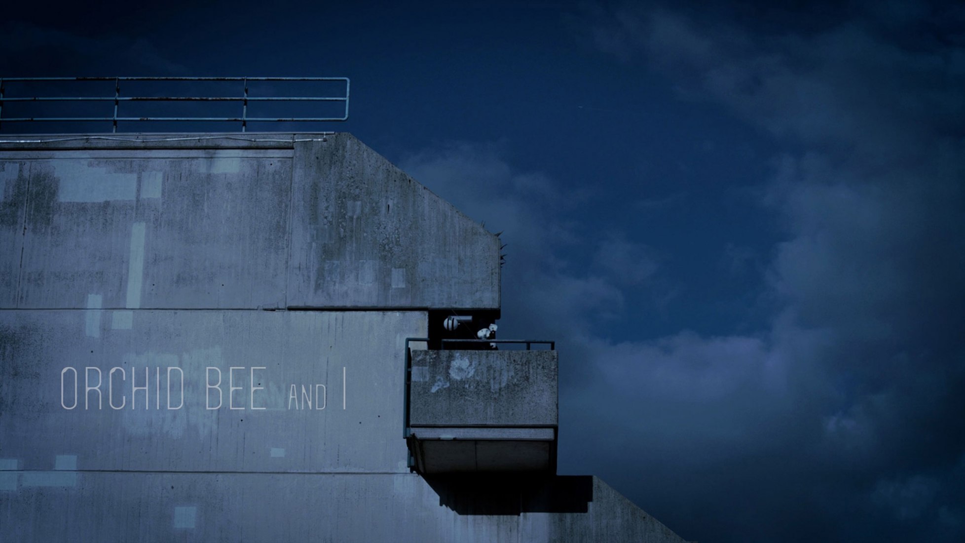 Film still from Orchid, Bee and I, co-directed by Chen Zhan and Jingru (Cyan) Cheng.