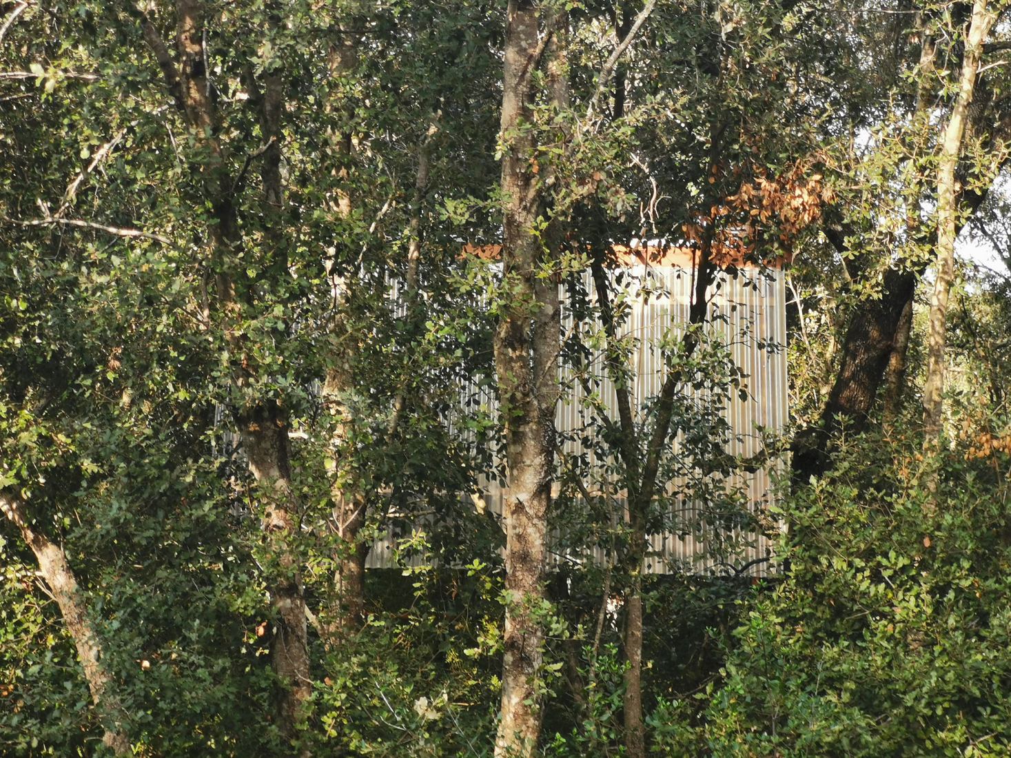 Design, build and inhabit a temporal refuge during the health emergency by Joan Martí Morro Capllonch. Photograph by Joan Martí Morro Capllonch.