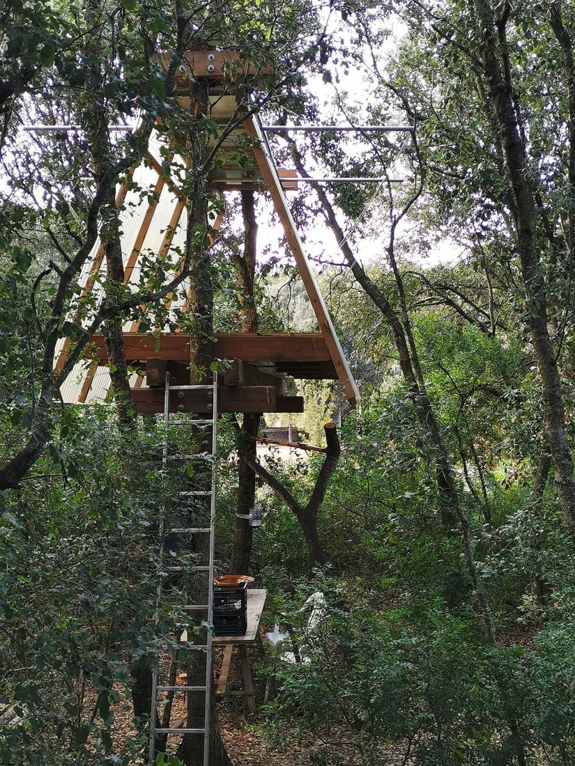 Design, build and inhabit a temporal refuge during the health emergency by Joan Martí Morro Capllonch. Photograph by Joan Martí Morro Capllonch.