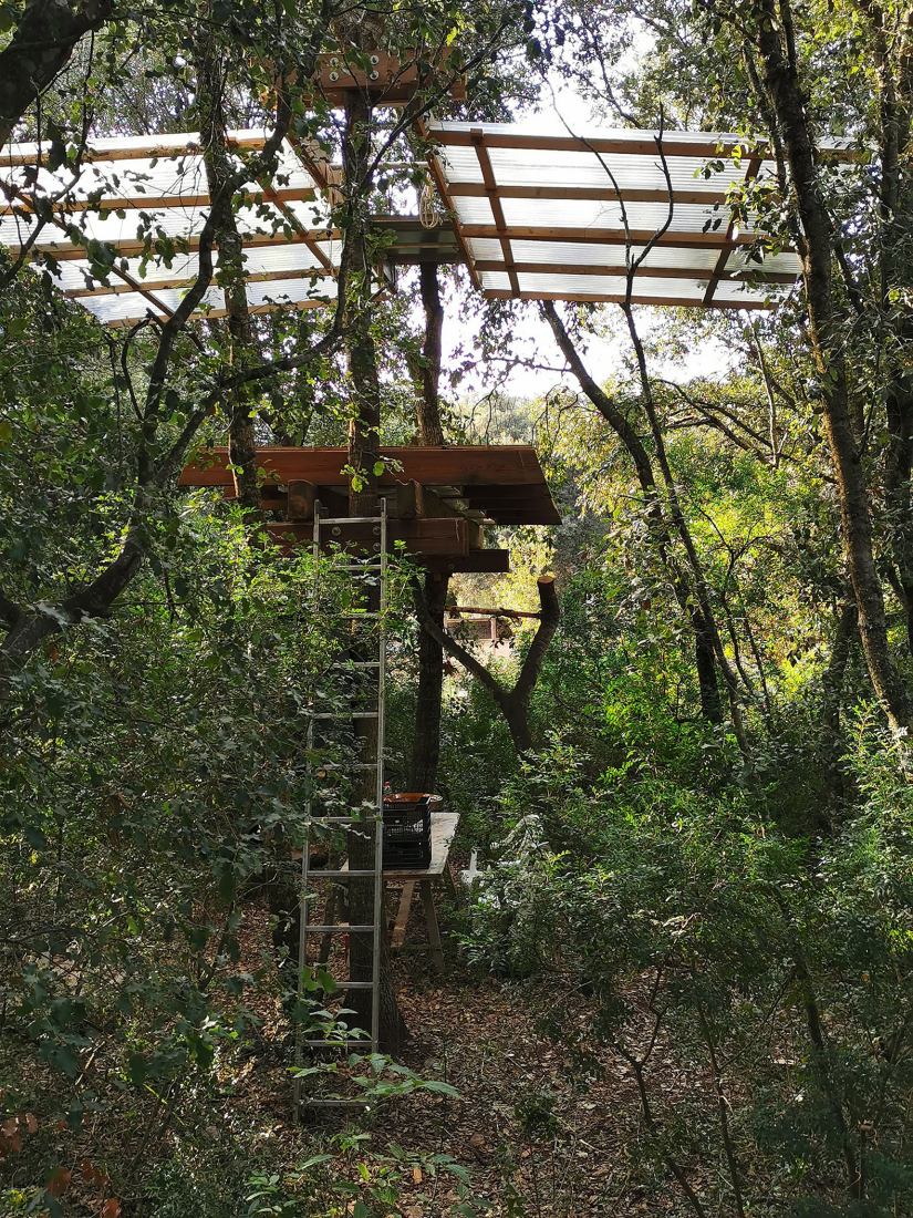 Design, build and inhabit a temporal refuge during the health emergency by Joan Martí Morro Capllonch. Photograph by Joan Martí Morro Capllonch.