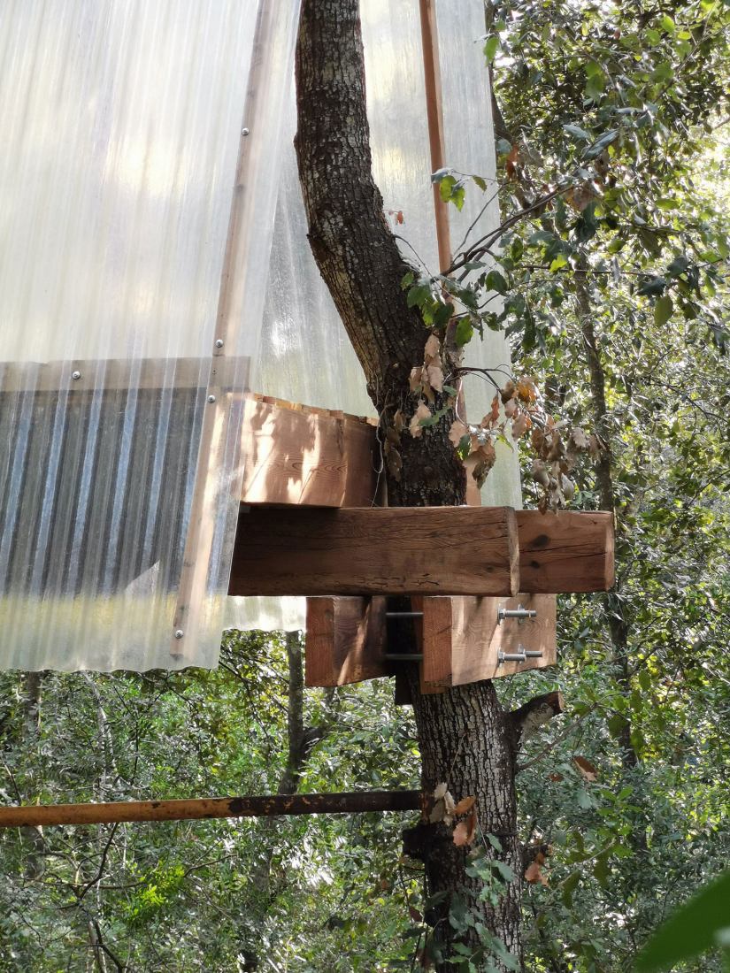 Design, build and inhabit a temporal refuge during the health emergency by Joan Martí Morro Capllonch. Photograph by Joan Martí Morro Capllonch.