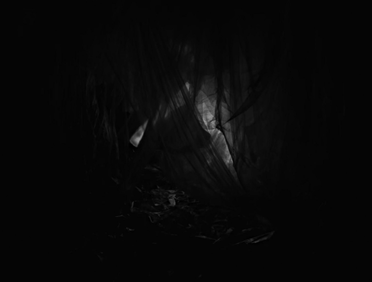 Entropy by Joshua Stocker.