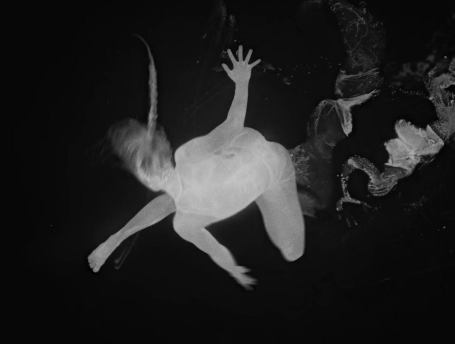 Entropy by Joshua Stocker.