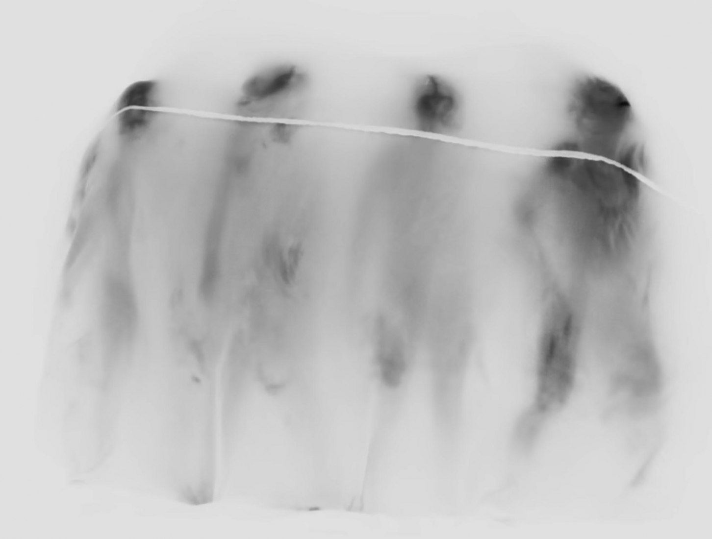 Entropy by Joshua Stocker.